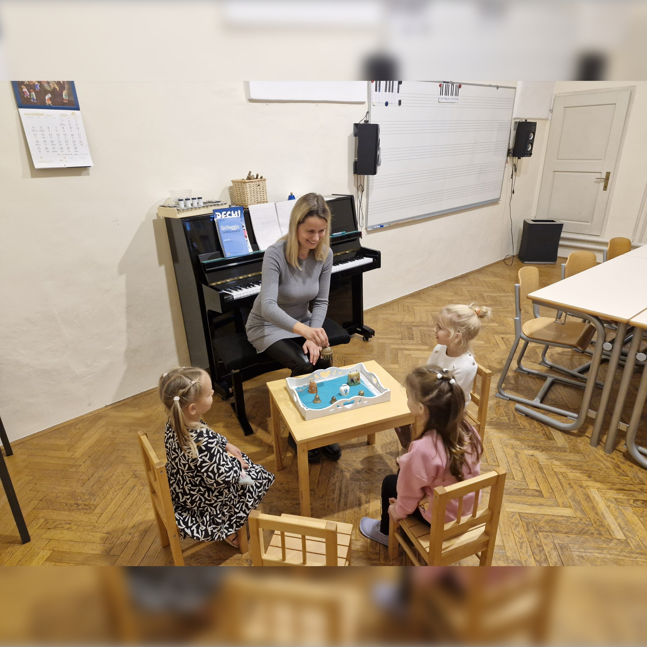 Izvajanje Willems programa